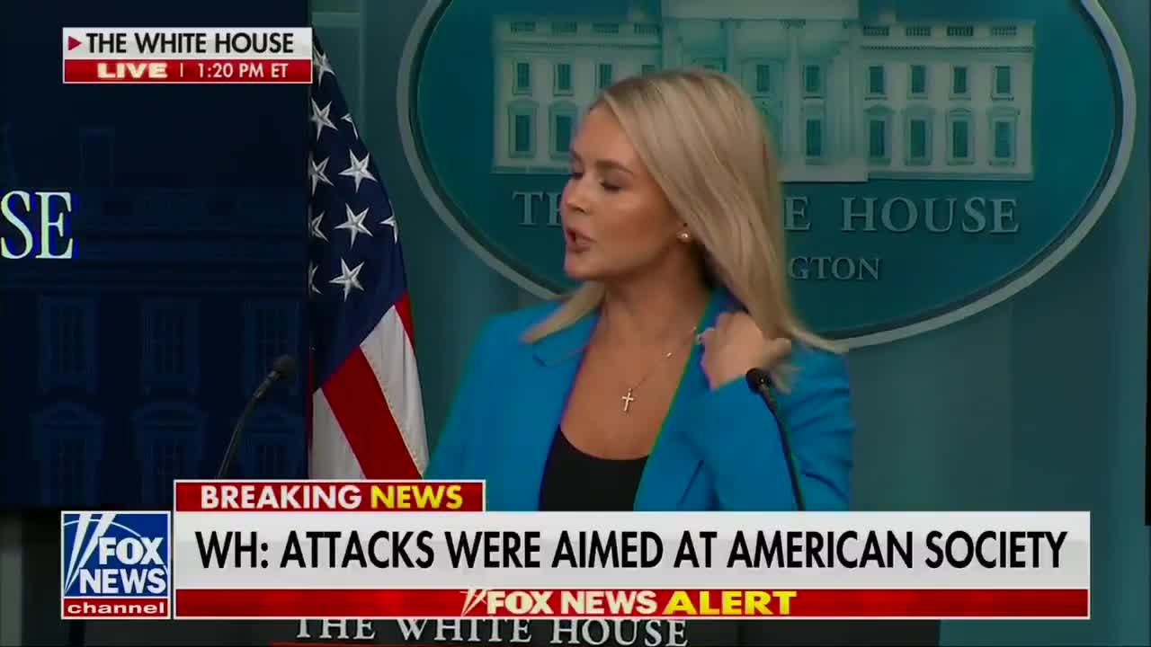 PRESS SEC: The President is committed to removing violent illegal criminals AND anyone who has broken America's immigration laws.